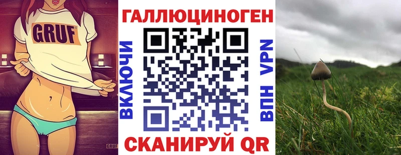 цены наркотик Тбилисская маркетплейс как зайти Псилоцибиновые грибы ЛСД